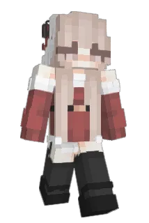 WORDCLASS Minecraft avatar full body