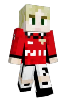 WOTAKATA Minecraft avatar full body