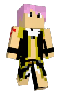 WPKID_MONEY Minecraft avatar full body