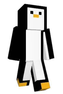 WREQBA Minecraft avatar full body