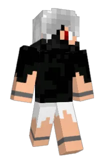 WRZGamer Minecraft avatar full body