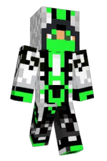WR_2017 Minecraft avatar full body