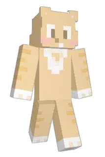 WSH42 Minecraft avatar full body