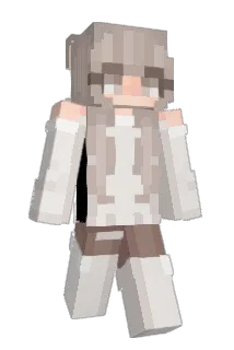 WSPBRSB Minecraft avatar full body