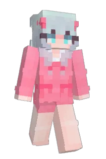 WSSNWZGDG Minecraft avatar full body