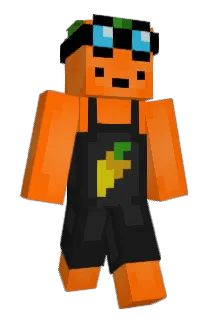 WT1700 Minecraft avatar full body
