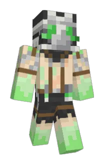 WT9K Minecraft avatar full body