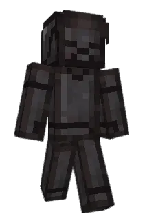 WTFYMBHS Minecraft avatar full body