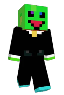 WTLP17 Minecraft avatar full body