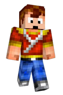 WTMshiNIDIE Minecraft avatar full body