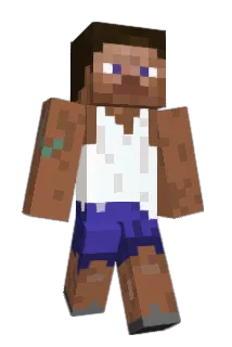 WVZOPX Minecraft avatar full body