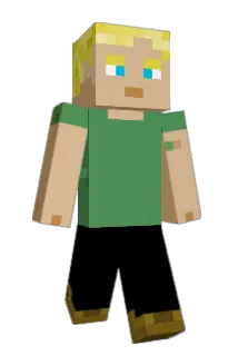 WWW2013 Minecraft avatar full body