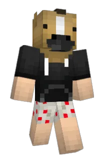 WWWW4 Minecraft avatar full body
