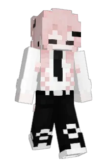 WZT123 Minecraft avatar full body