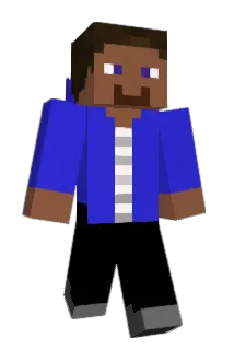 W_Mann Minecraft avatar full body