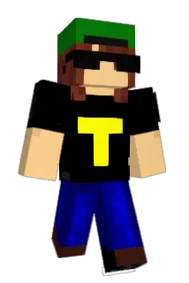 W_T_D Minecraft avatar full body