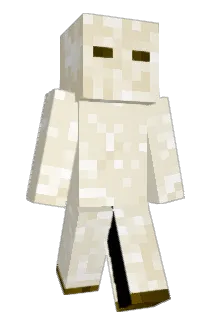 Wackermin Minecraft avatar full body