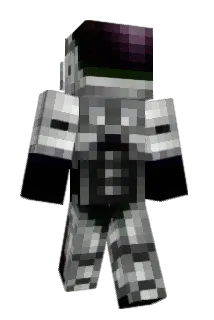 Wacowal Minecraft avatar full body