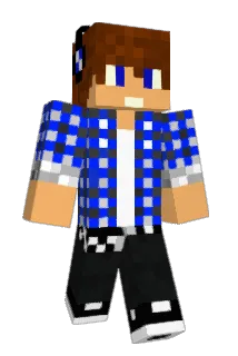 Wafam Minecraft avatar full body
