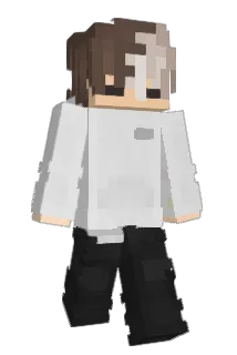 Wafeleek88 Minecraft avatar full body