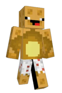 Waffles309 Minecraft avatar full body