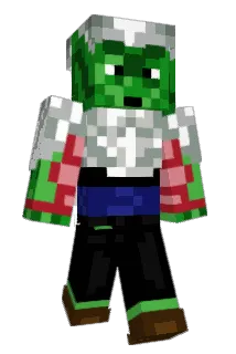 Waffles565 Minecraft avatar full body