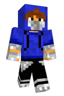 WafflesNL Minecraft avatar full body