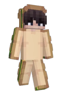 Waifi4212 Minecraft avatar full body