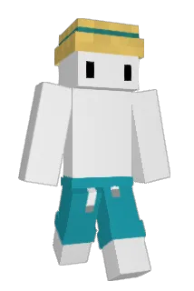 WajtmiN Minecraft avatar full body