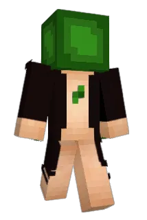 Wakezyyy Minecraft avatar full body