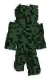 Wakroy Minecraft avatar full body