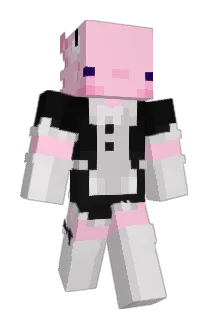 Wald04 Minecraft avatar full body