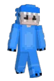 WallyCrafts Minecraft avatar full body