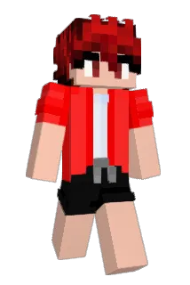 WallyCrafts Minecraft avatar full body