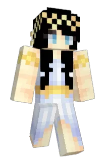 Wallysing Minecraft avatar full body