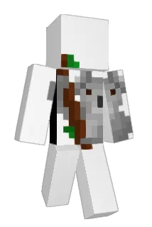 Walmartbag17 Minecraft avatar full body