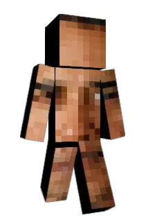 Wammer69 Minecraft avatar full body