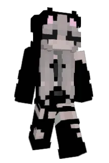 Wamp1r Minecraft avatar full body