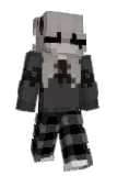 Wampee Minecraft avatar full body