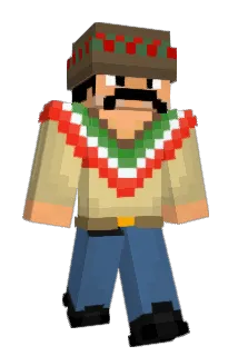 WandelBr Minecraft avatar full body