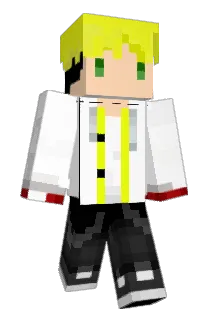 Wang2020 Minecraft avatar full body