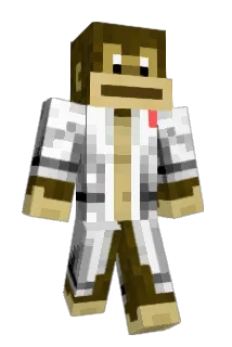 WantSumDIgg Minecraft avatar full body