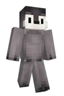 Wanzai Minecraft avatar full body