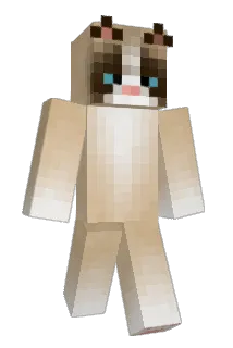 Warcain Minecraft avatar full body