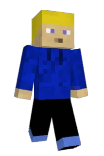 Wardje2008 Minecraft avatar full body