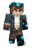Wardni Minecraft avatar full body