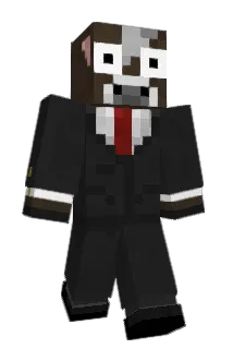 WardsParadox Minecraft avatar full body