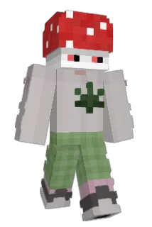 Warefa Minecraft avatar full body