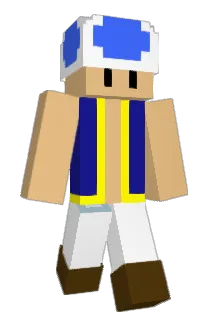 Warm_Pillow656 Minecraft avatar full body