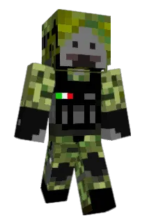 Warmanatee Minecraft avatar full body